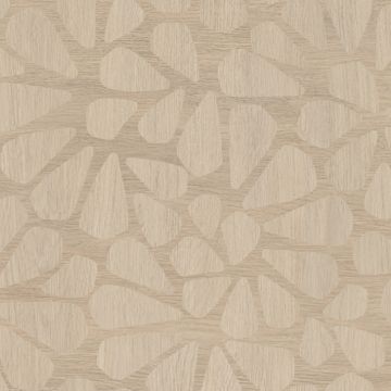 ABK Moooi Decor Library 0021264 Piastrella 60 x 120 cm