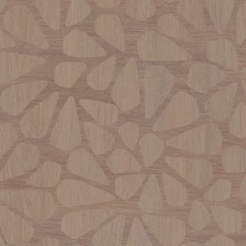 ABK Moooi Decor Library 0021265 Piastrella 60 x 120 cm